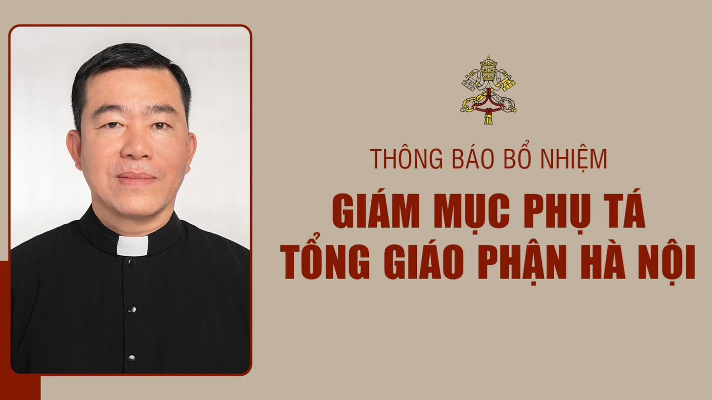 Bổ nhiệm Giám mục Phụ tá Tổng Giáo Phận Hà Nội